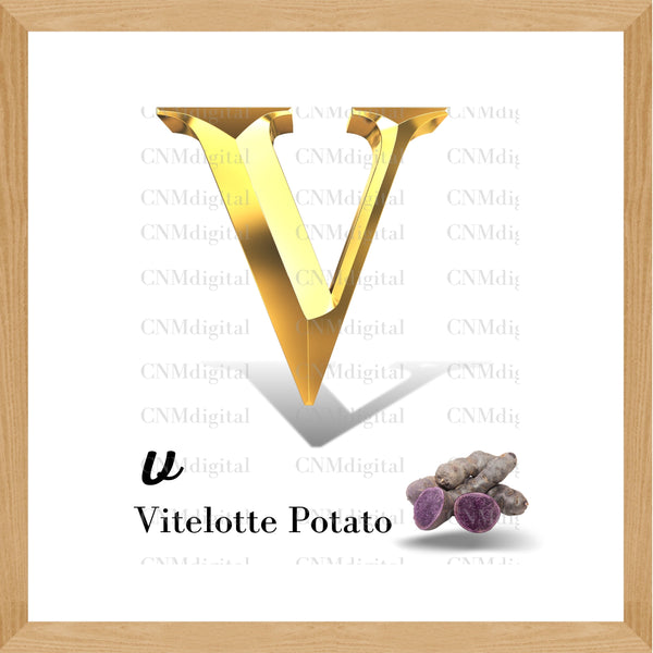 Gold letters fruits, LATTER - V Gold color letters, including VITELOTTE fruit, English alphabet letters, including VITELOTTE fruit, Instant Download. PNG file, clipart, Transparent, Not Font.