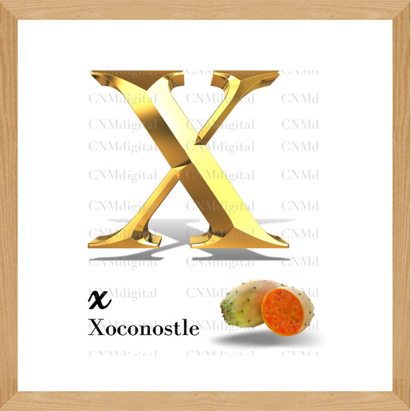 Gold letters fruits, LATTER - X  Gold color letters, including XOCONOSTLE fruit, English alphabet letters, including XOCONOSTLE fruit, Instant Download. PNG file, clipart, Transparent, Not Font.