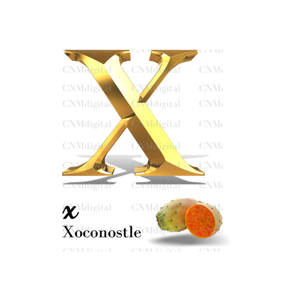 Gold letters fruits, LATTER - X  Gold color letters, including XOCONOSTLE fruit, English alphabet letters, including XOCONOSTLE fruit, Instant Download. PNG file, clipart, Transparent, Not Font.