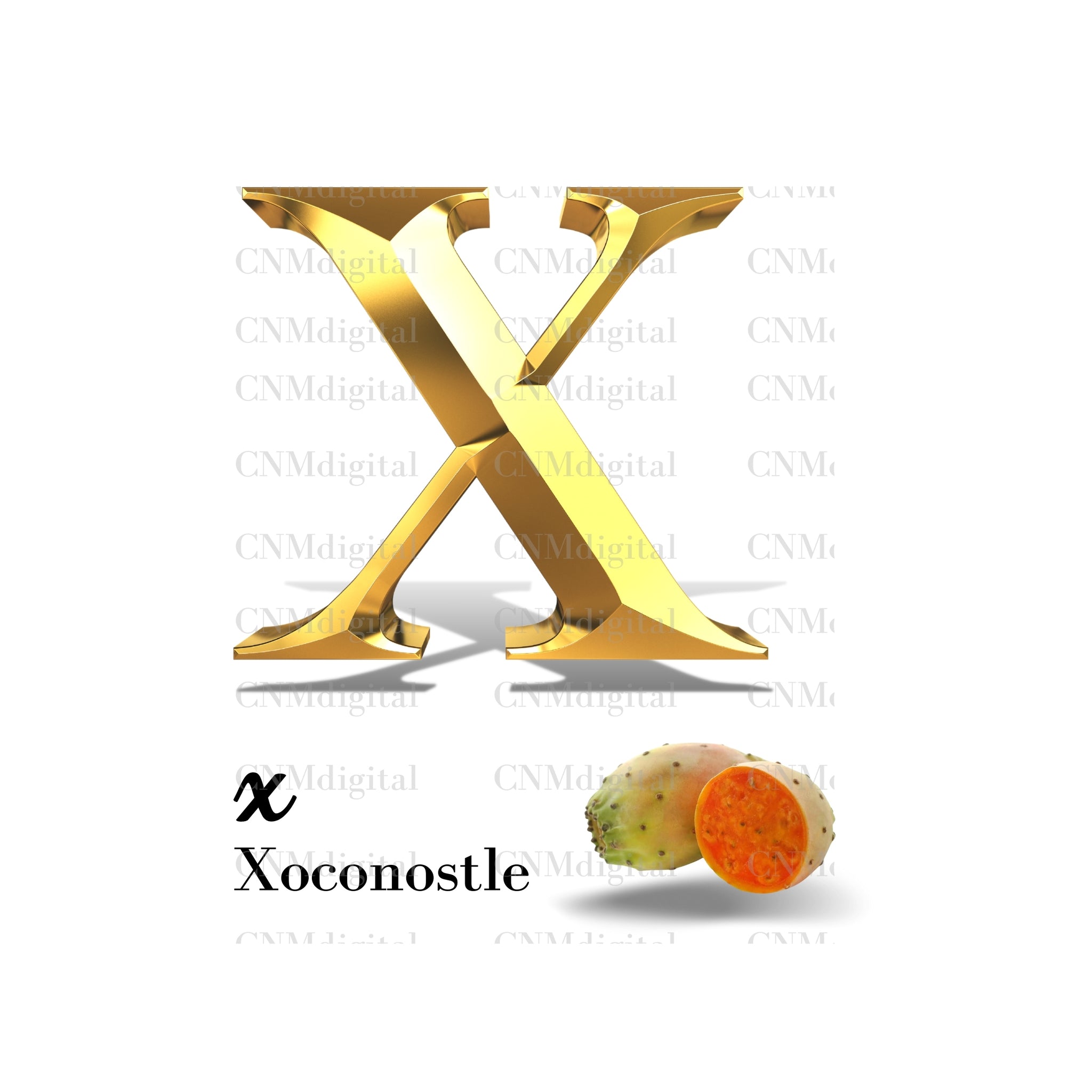 Gold letters fruits, LATTER - X  Gold color letters, including XOCONOSTLE fruit, English alphabet letters, including XOCONOSTLE fruit, Instant Download. PNG file, clipart, Transparent, Not Font.